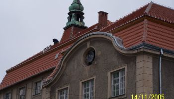 Dach-001